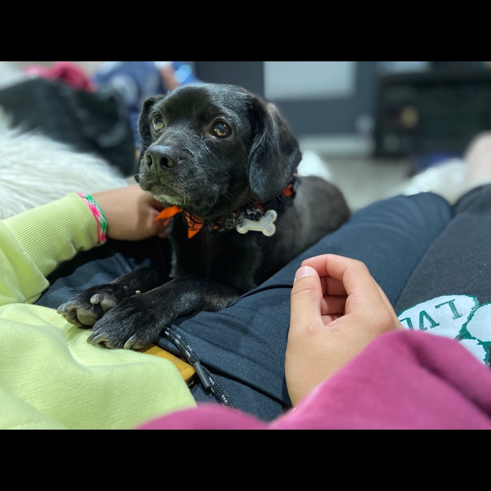 Meet your Posher, Skylar